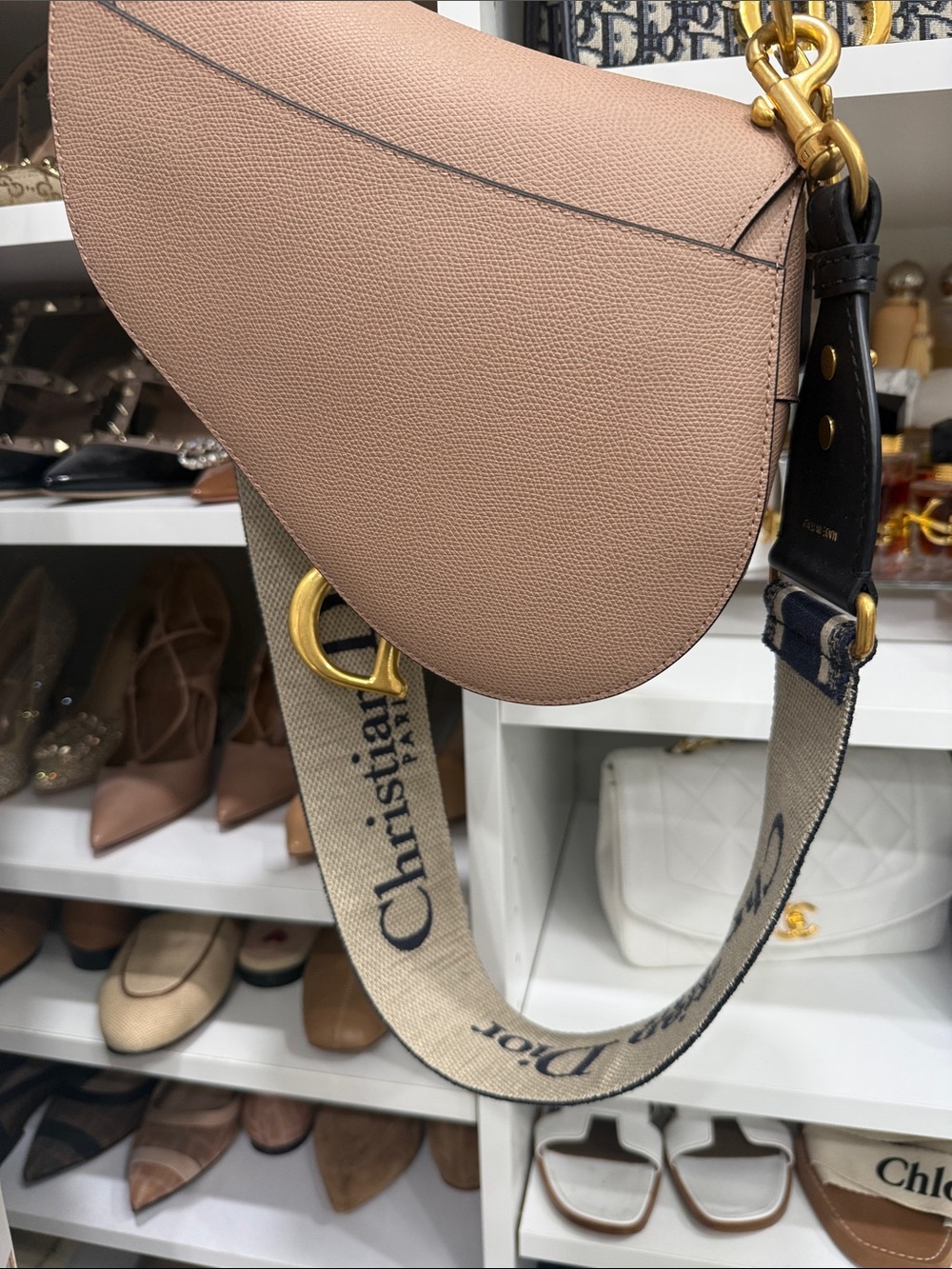 Dior Blush Saddle Bag with Guitar strap - Picture 8 of 9